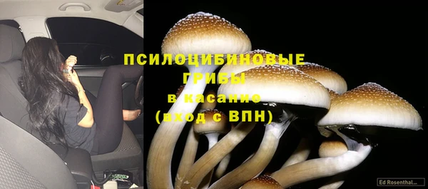 Альфа ПВП Белокуриха