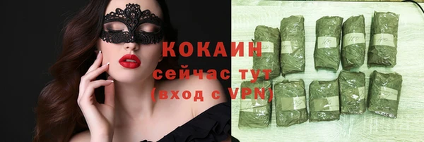 Альфа ПВП Белокуриха