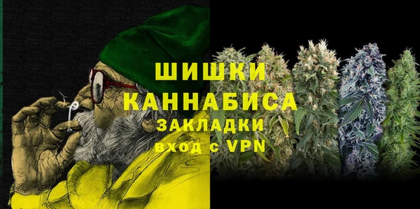 Альфа ПВП Белокуриха