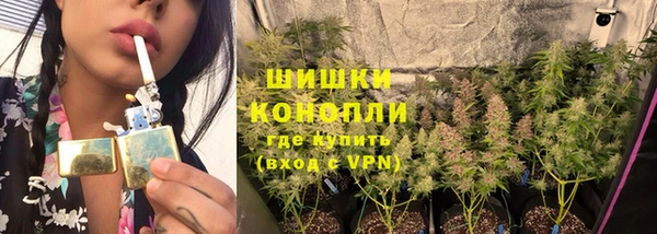 Альфа ПВП Белокуриха